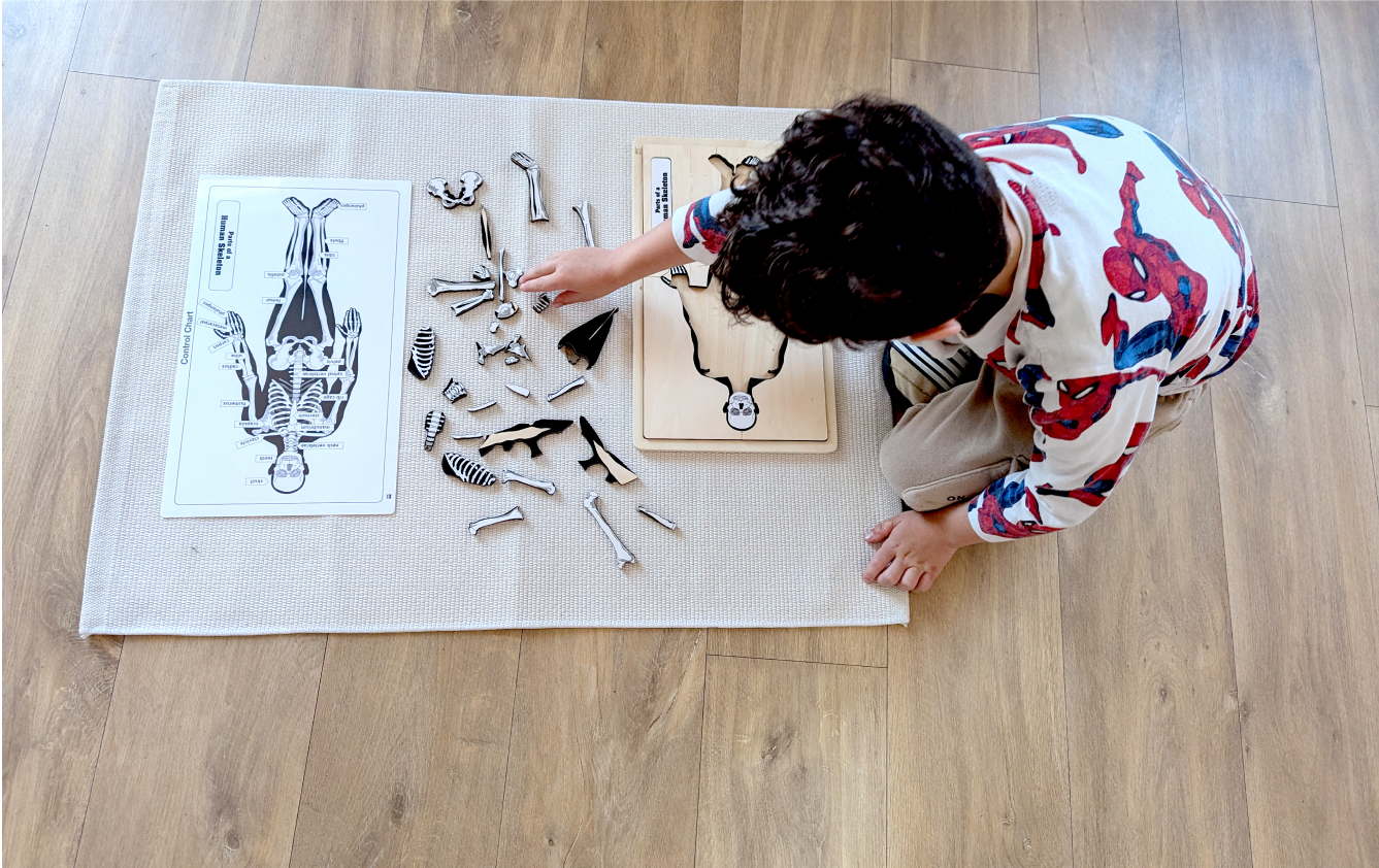 Personalized Learning